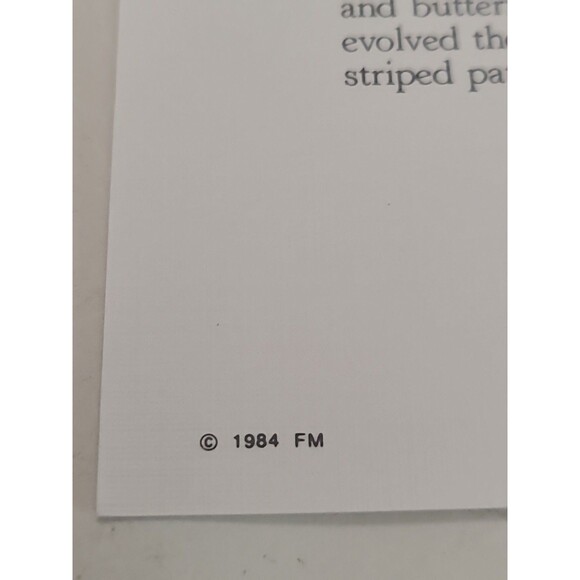 Butterflies Of The World Stamps Collection Lot Of 28 - Picture 10 of 10